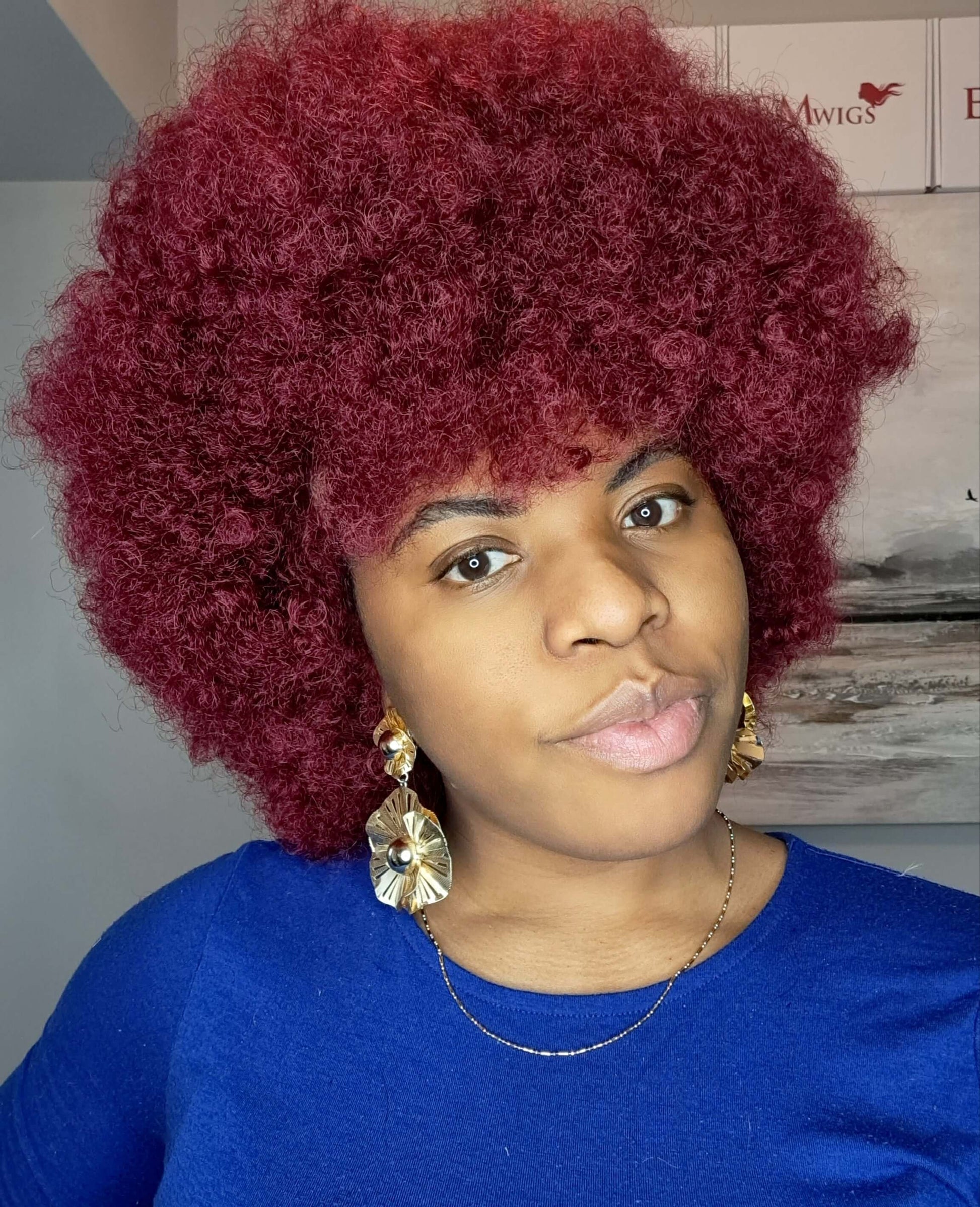 Short Human Hair Wigs | Maxi Afro Wig | EM Wigs