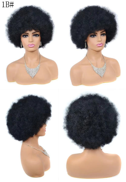 Human Hair Afro Wigs | Curly Human Hair Extensions | EM Wigs