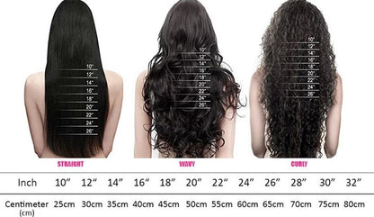 Straight Human Hair Wig | Straight Closure Wig | EM Wigs