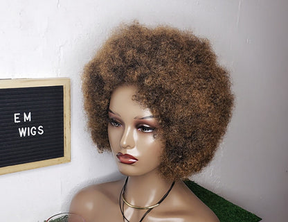 Human Hair Afro Wigs | Curly Human Hair Extensions | EM Wigs