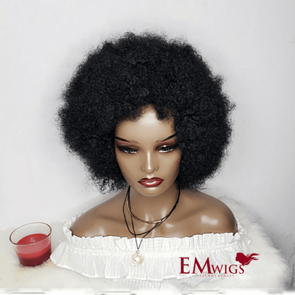 Human Hair Afro Wigs | Curly Human Hair Extensions | EM Wigs