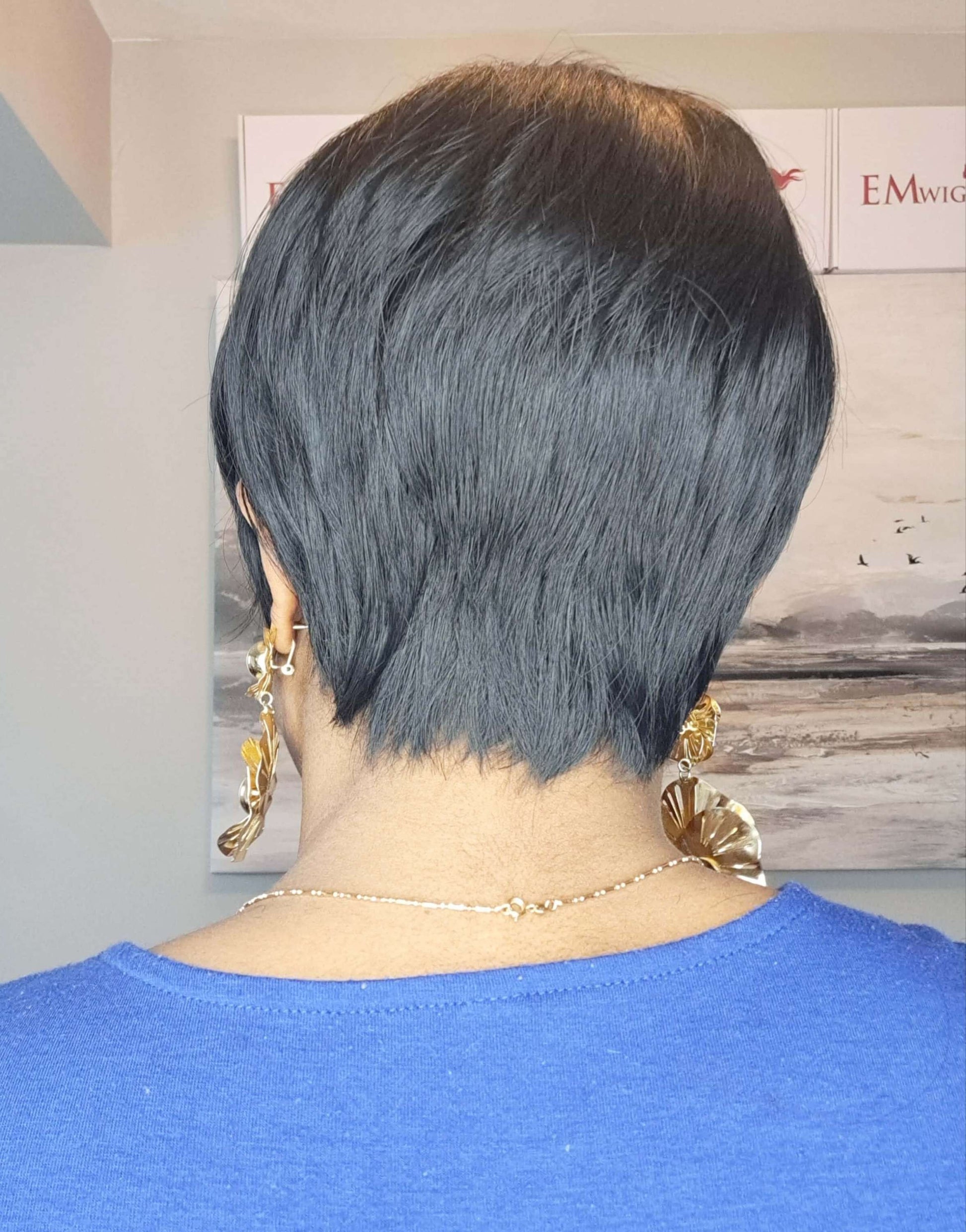 Synthetic Pixie Cut Wig | Shorts Hair Wigs | EM Wigs
