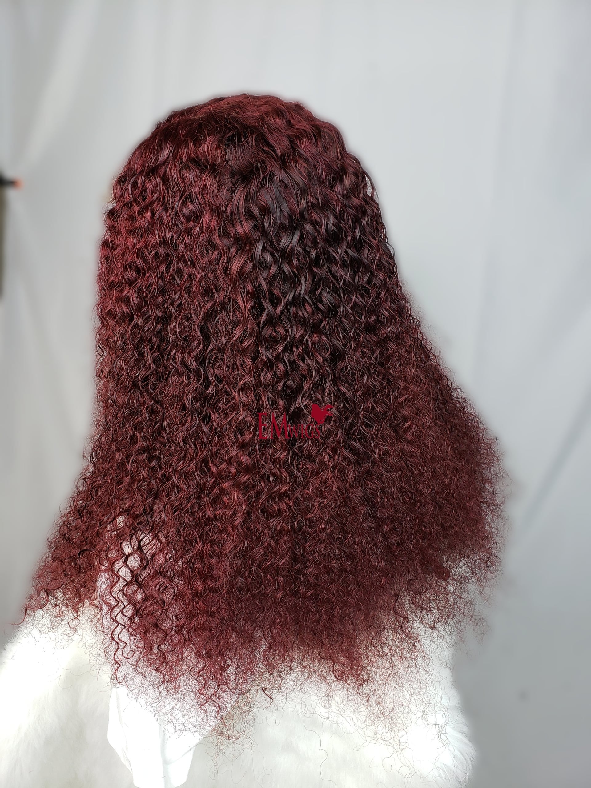 Human Hair Curly Wigs | Curly Closure Wig | EM Wigs